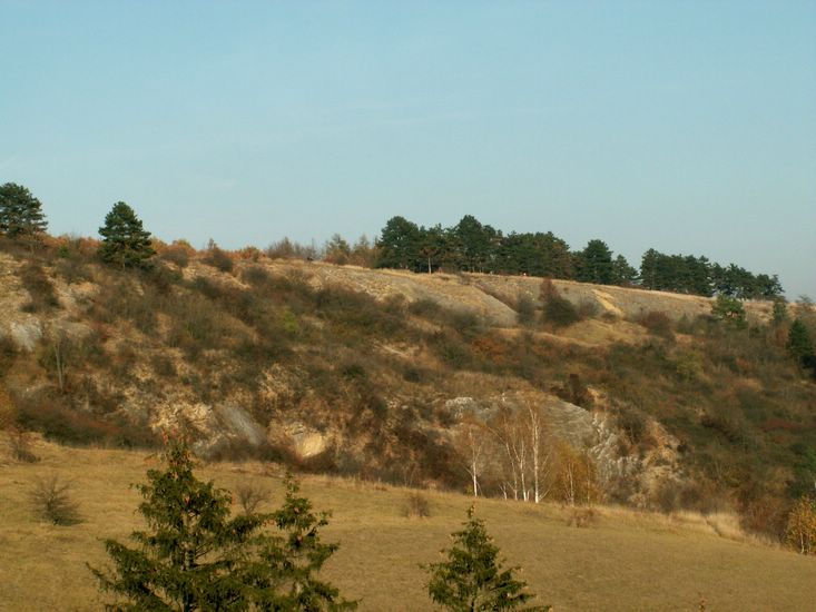 081026_PICT0090.JPG