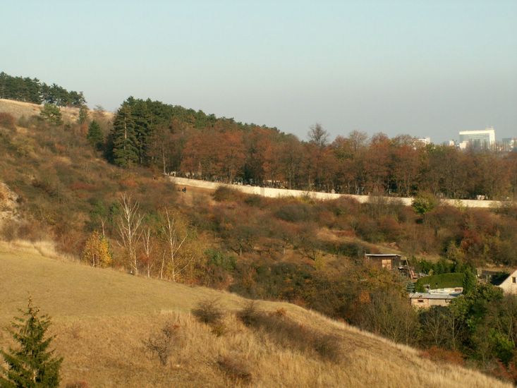 081026_PICT0091.JPG