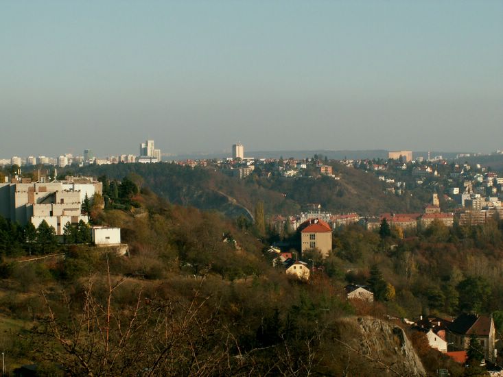 081026_PICT0094.JPG