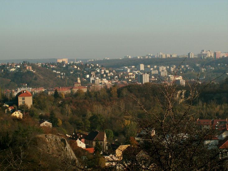 081026_PICT0095.JPG