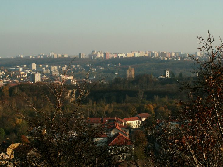 081026_PICT0096.JPG