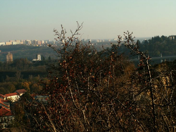 081026_PICT0097.JPG