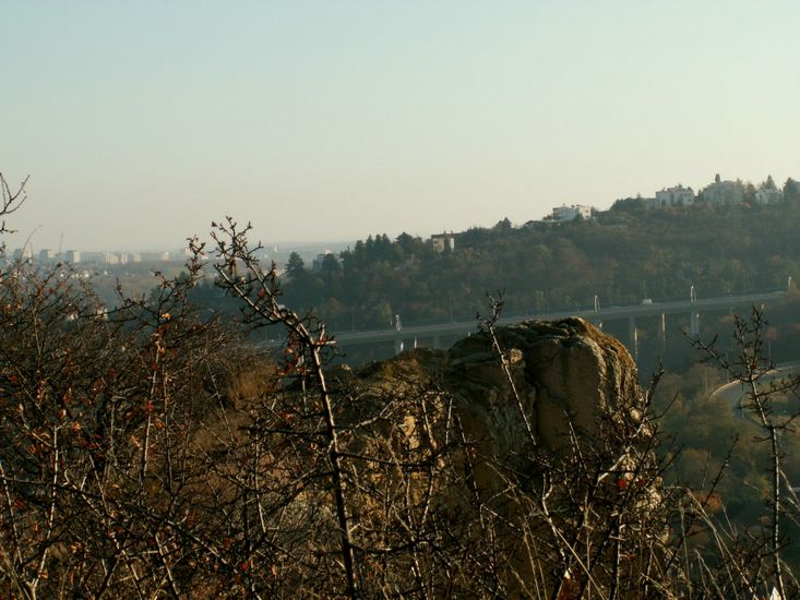 081026_PICT0098.JPG