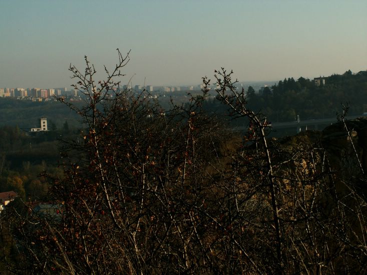 081026_PICT0099.JPG