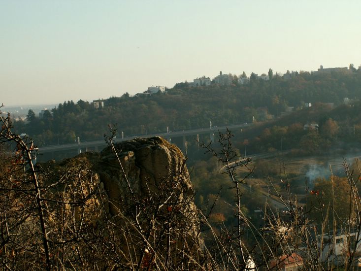 081026_PICT0100.JPG