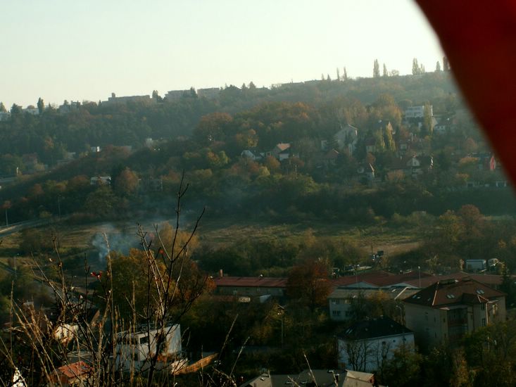 081026_PICT0101.JPG