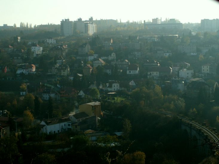 081026_PICT0103.JPG