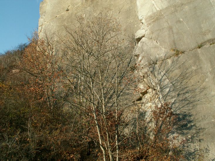 081026_PICT0108.JPG