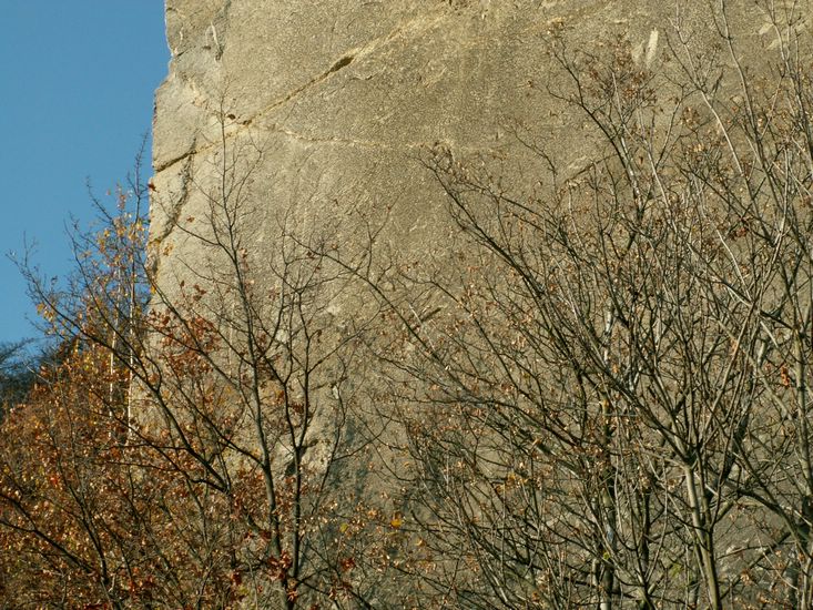 081026_PICT0110.JPG