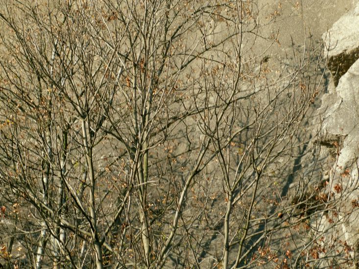 081026_PICT0111.JPG