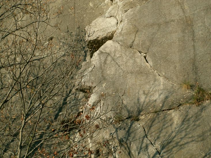081026_PICT0116.JPG