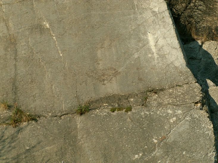 081026_PICT0122.JPG