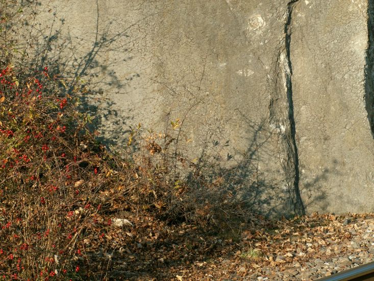 081026_PICT0126.JPG