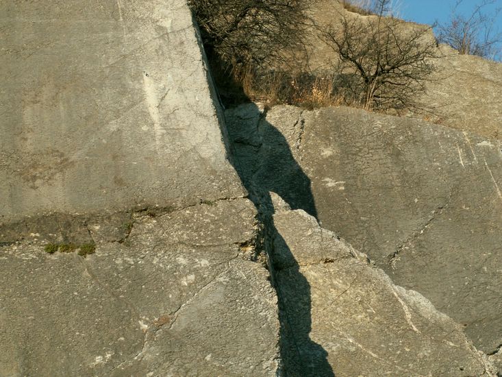 081026_PICT0131.JPG