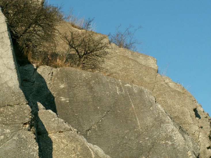 081026_PICT0133.JPG
