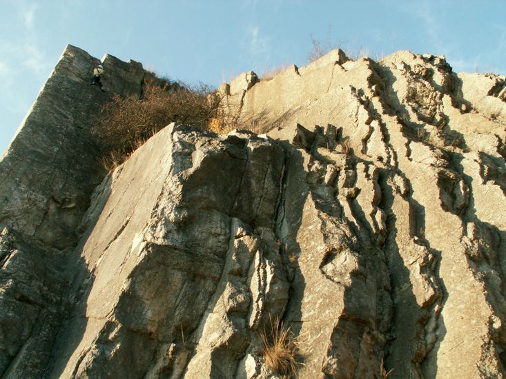 081026_PICT0155.JPG