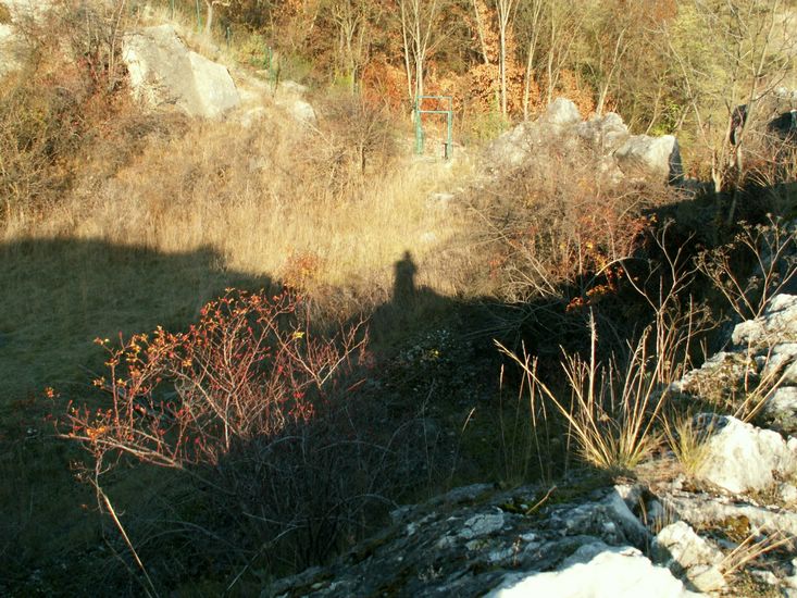 081026_PICT0162.JPG