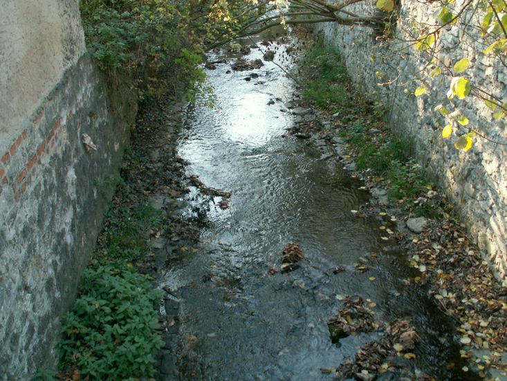081026_PICT0164.JPG
