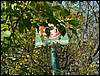 081026_PICT0027.JPG