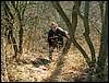 081026_PICT0036.JPG