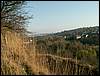 081026_PICT0038.JPG