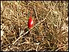 081026_PICT0046.JPG