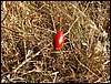 081026_PICT0047.JPG