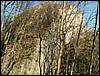 081026_PICT0050.JPG