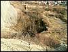 081026_PICT0053.JPG