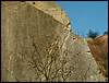 081026_PICT0065.JPG