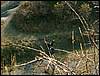 081026_PICT0086.JPG