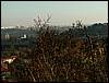 081026_PICT0097.JPG