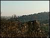 081026_PICT0098.JPG