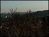 081026_PICT0099.JPG