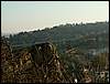 081026_PICT0100.JPG