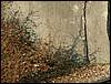 081026_PICT0126.JPG