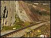 081026_PICT0146.JPG