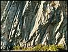 081026_PICT0153.JPG