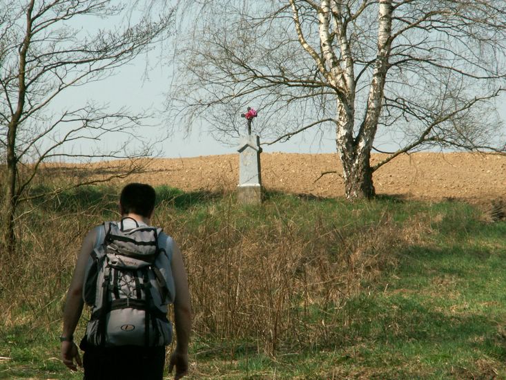 090411_PICT0014.JPG