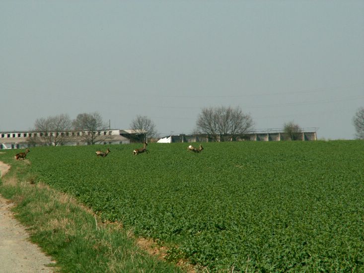 090411_PICT0017.JPG