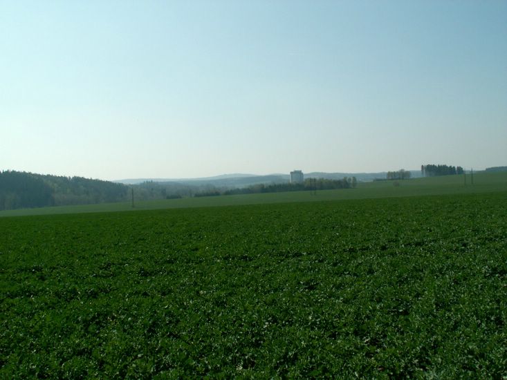 090411_PICT0018.JPG