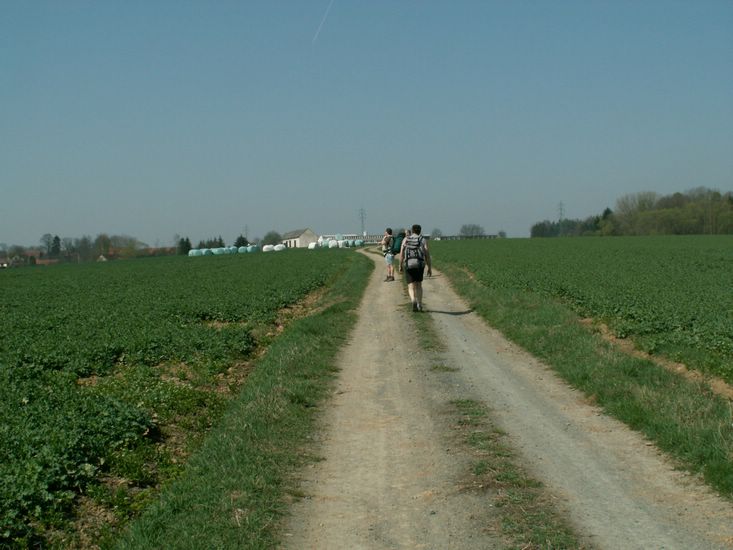 090411_PICT0020.JPG