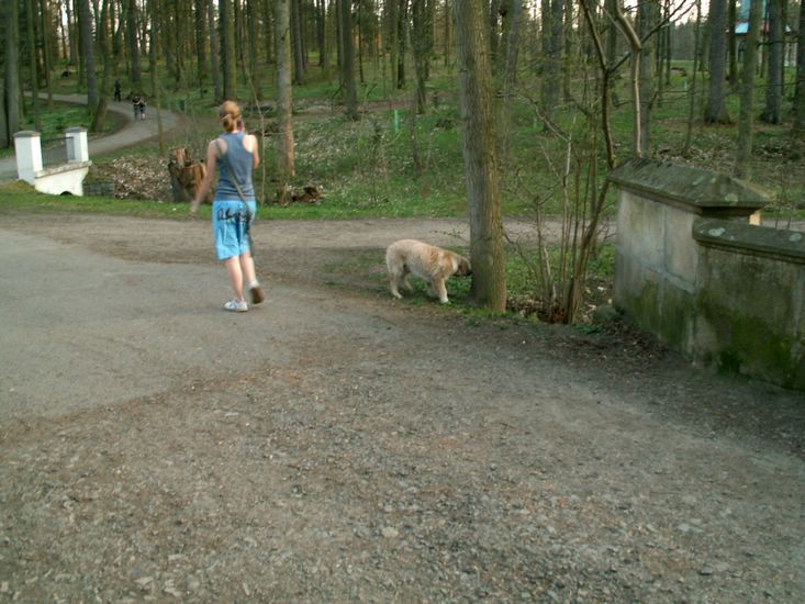 090411_PICT0053.JPG