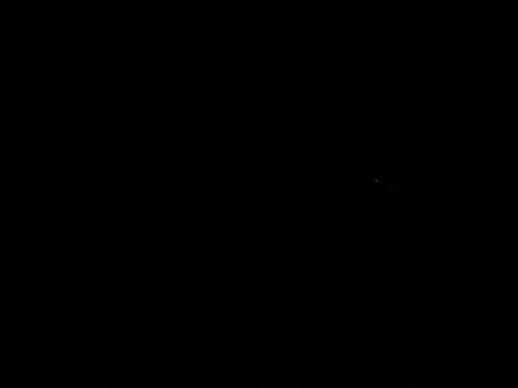 090411_PICT0075.JPG