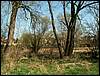 090411_PICT0007.JPG
