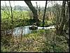 090411_PICT0008.JPG