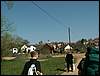 090411_PICT0010.JPG