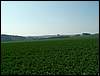090411_PICT0018.JPG