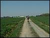 090411_PICT0020.JPG