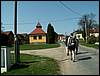 090411_PICT0021.JPG